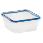 Container with a blue lid Snapware